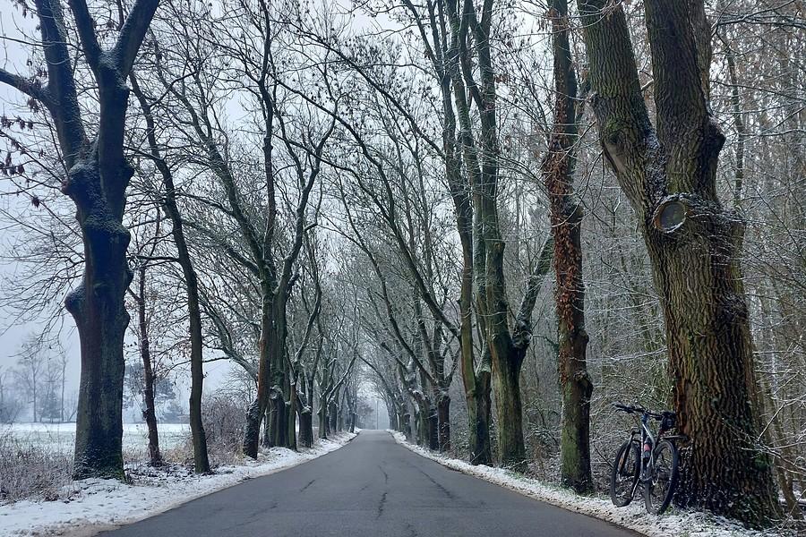 Biało na poznańskim Sypniewie