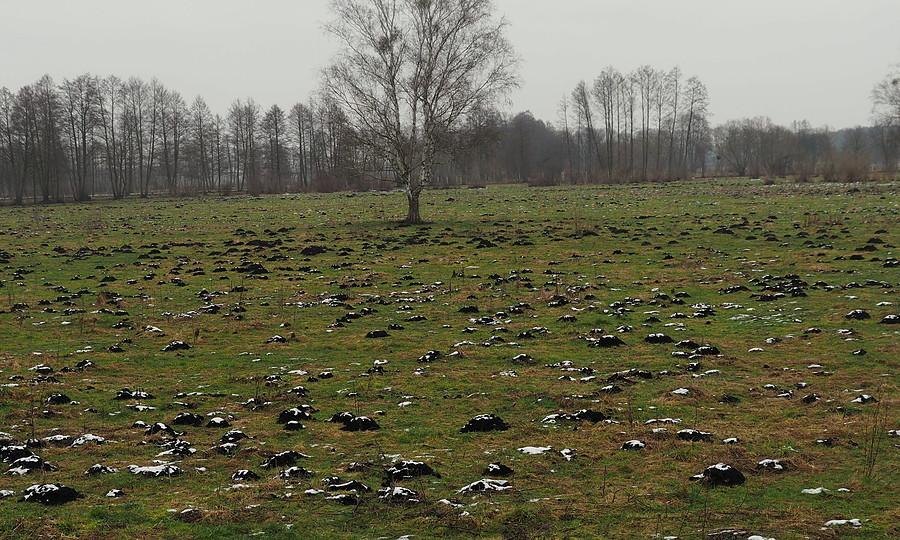 Podziemie działa