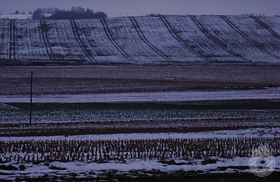 pofalowane pola zakrośnieńskie