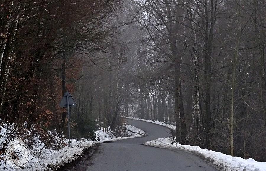 jakiś podjazd boczny na Wolę Komborską