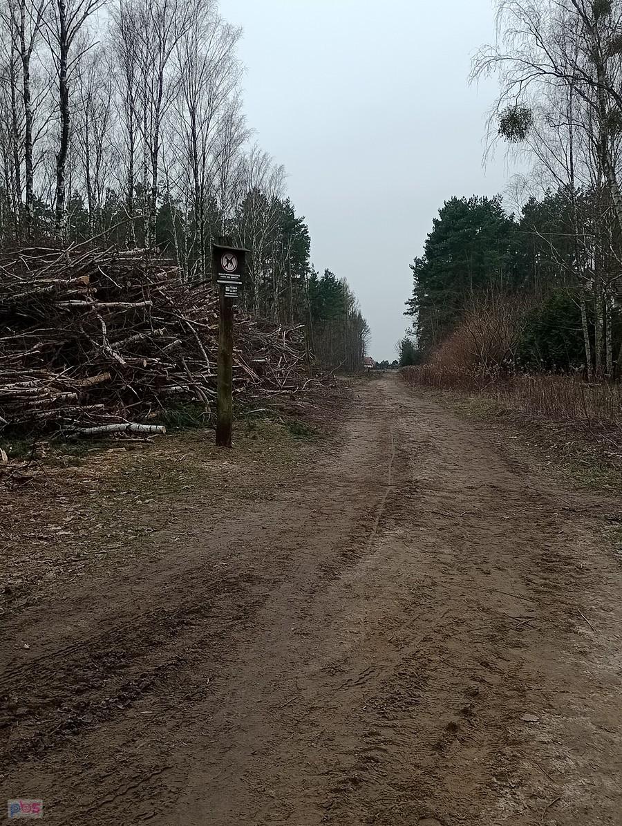 Pytanie, co będą robić?