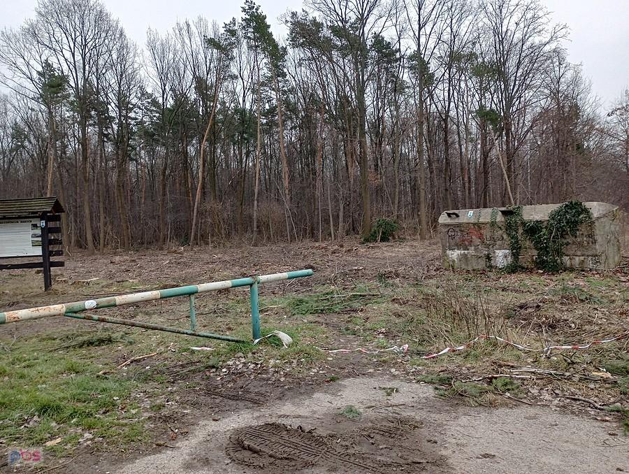 Przy ulicy wycinka jest dużo szersza