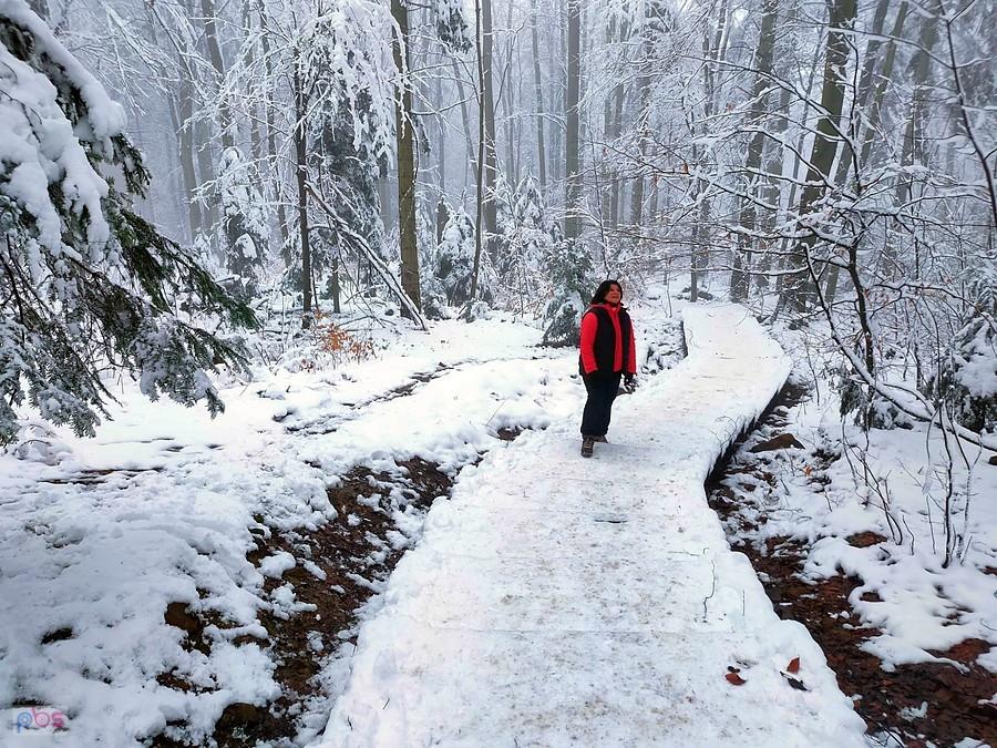 Osoba na śnieżnej kładce w lesie