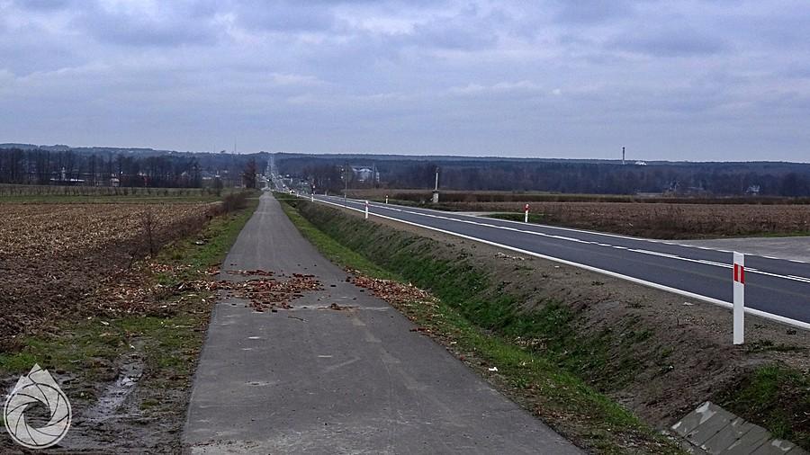 Droga na północ od Tarnogrodu prowadzi DDRkami