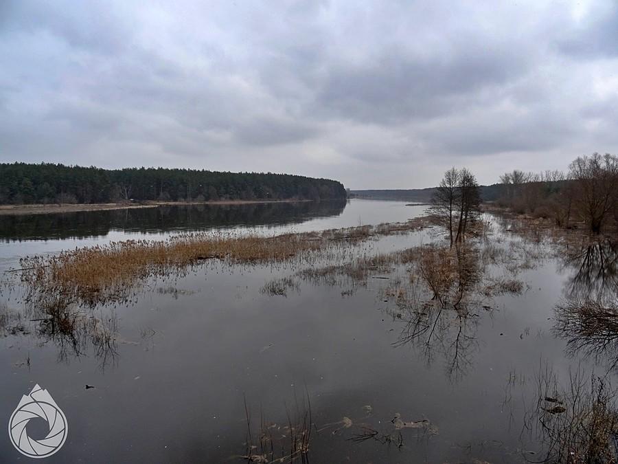 szuwary Bugu