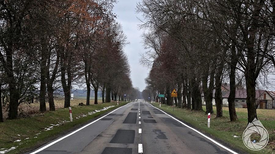 po wyjeździe z Bialej Podlaskiej, proste na północ