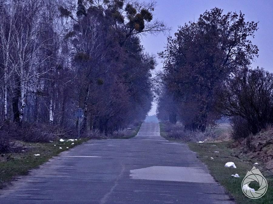 poranne szosy za PoleskimPN