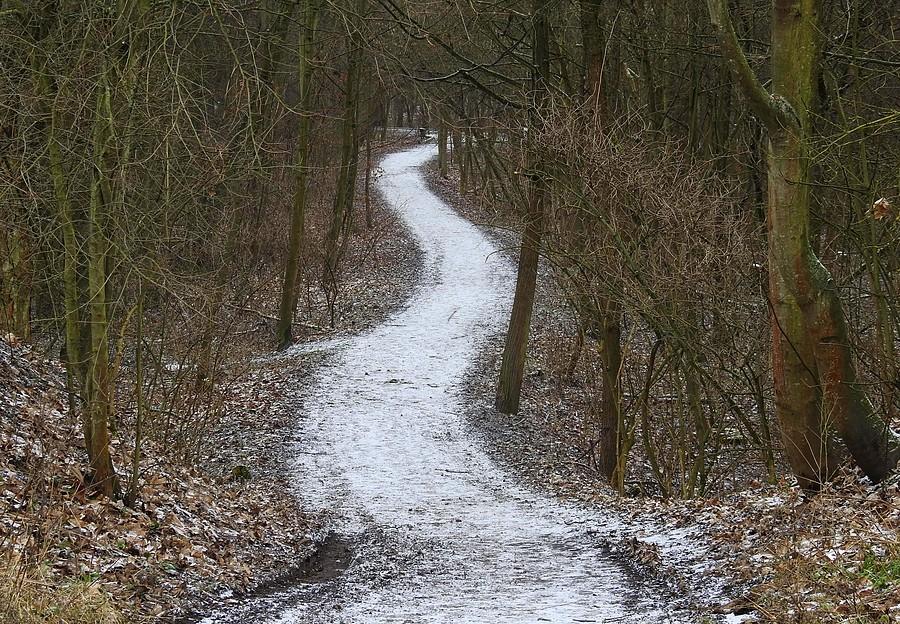 Biała droga z poznańskiej Dębiny
