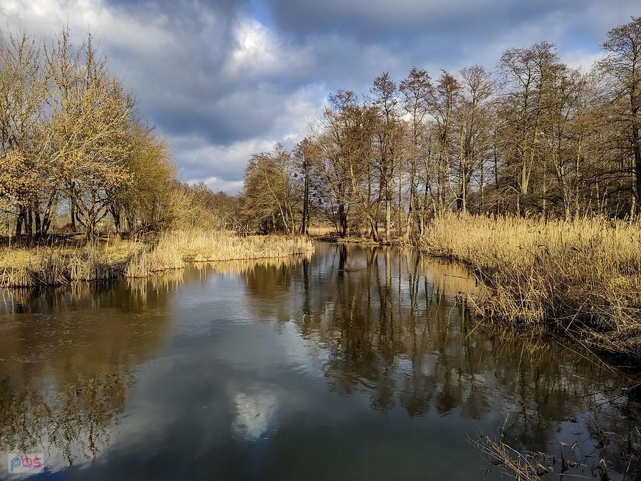 Jeziorka przy Parku Zdrojowym w Konstancinie