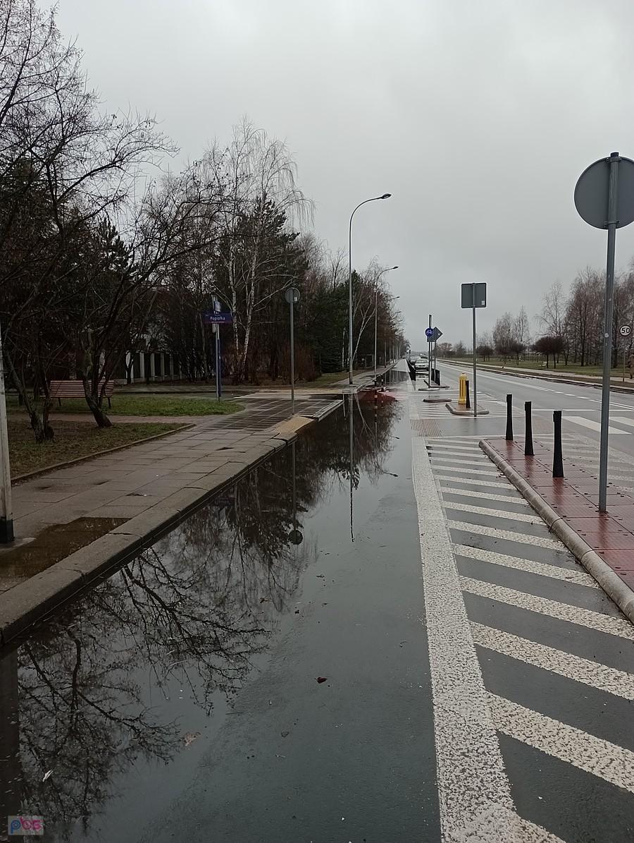Widać, że ostatnio pada