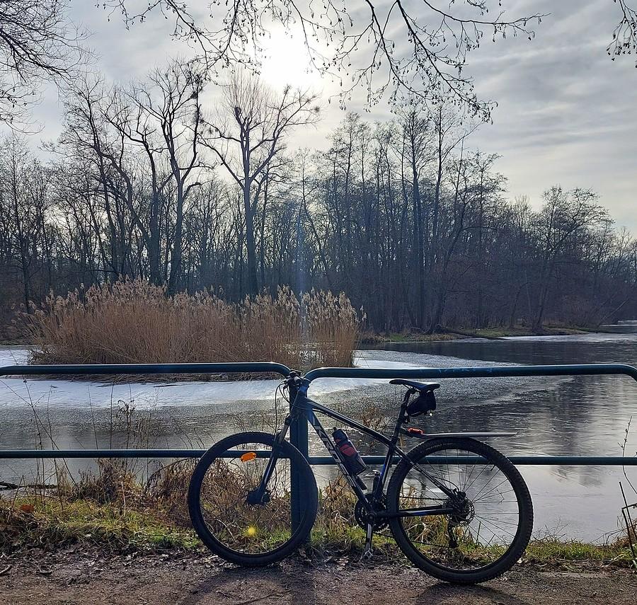 Rowerówka z Dębiny