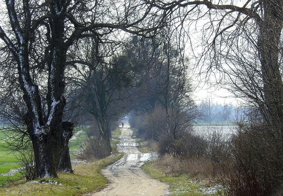 Klimatyczna droga z Dachowej