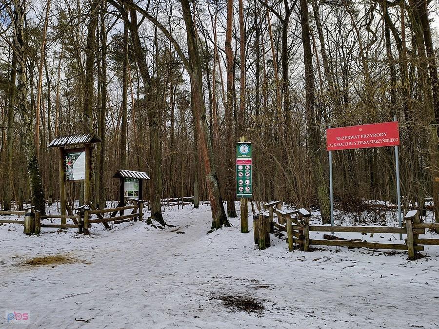 Wejście do rezerwatu Las kabacki