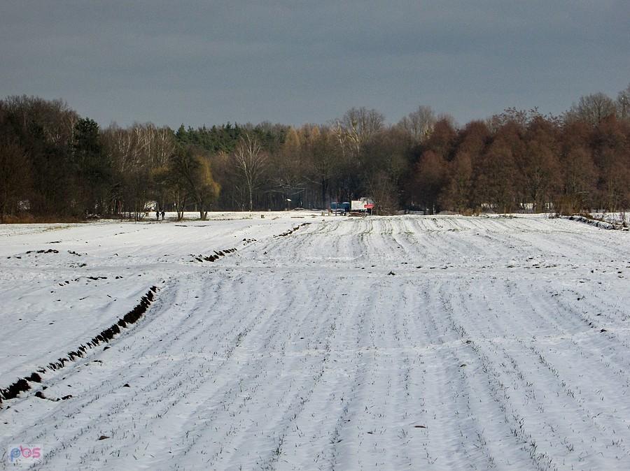 Pola kończą się przy polanie turystycznej