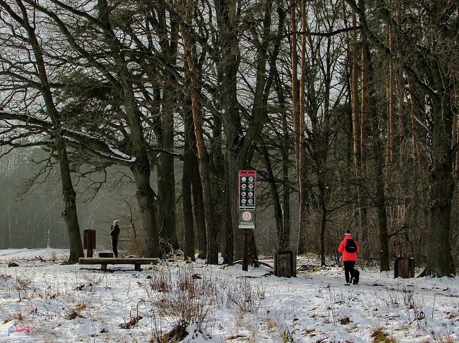 Instrukcje na drzewach przypominają o zasadach obowiązujących w Lasach Miejskich m.st. Warszawy