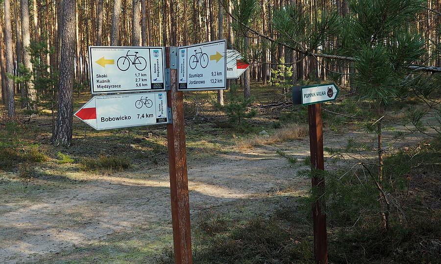 Tyle możliwości. Wybieram pomnik wilka