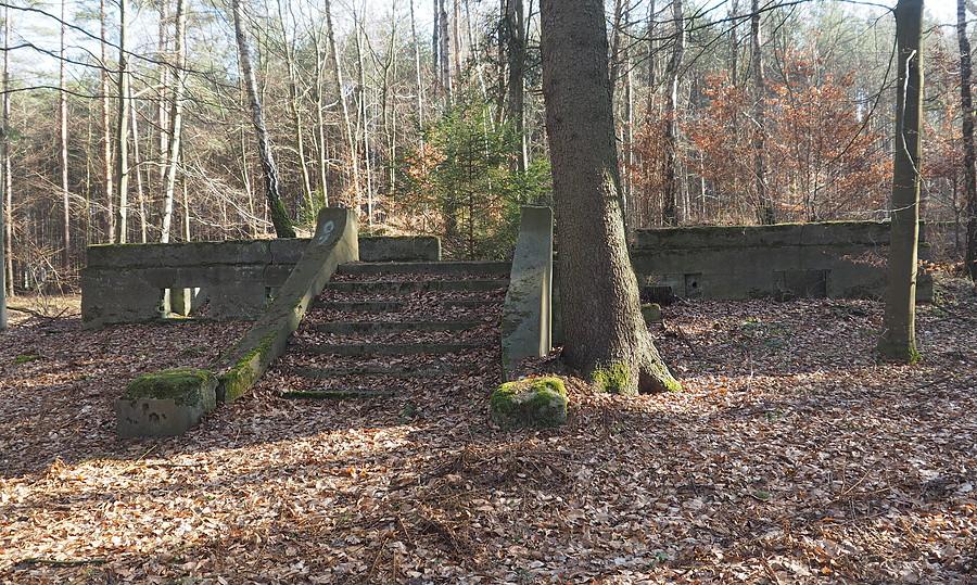 Prawdopodobnie ruiny folwarku Helminenwalde (Ordzików)