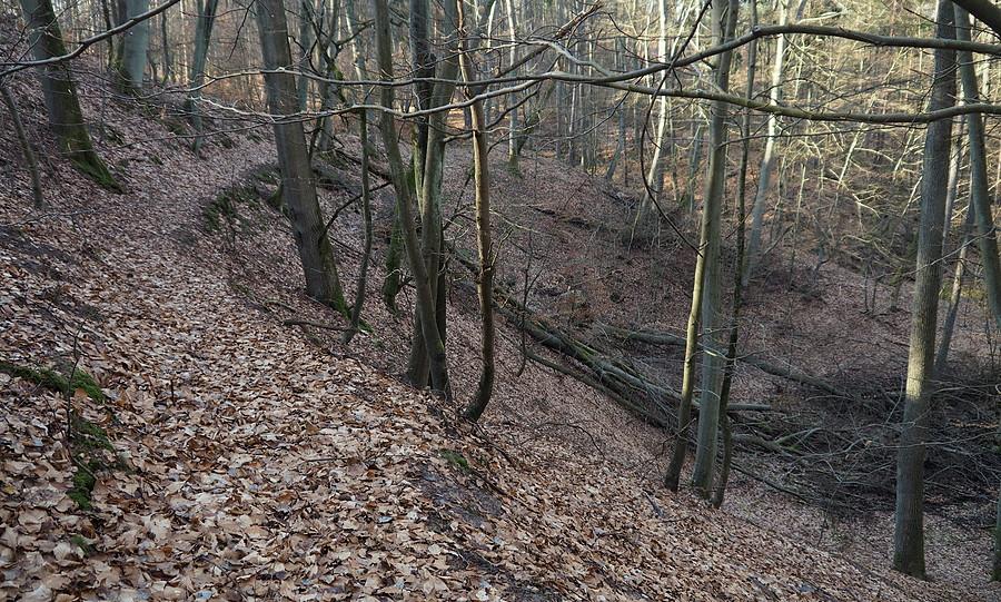 Nad kotłem z źródłami Czerwonego Potoku