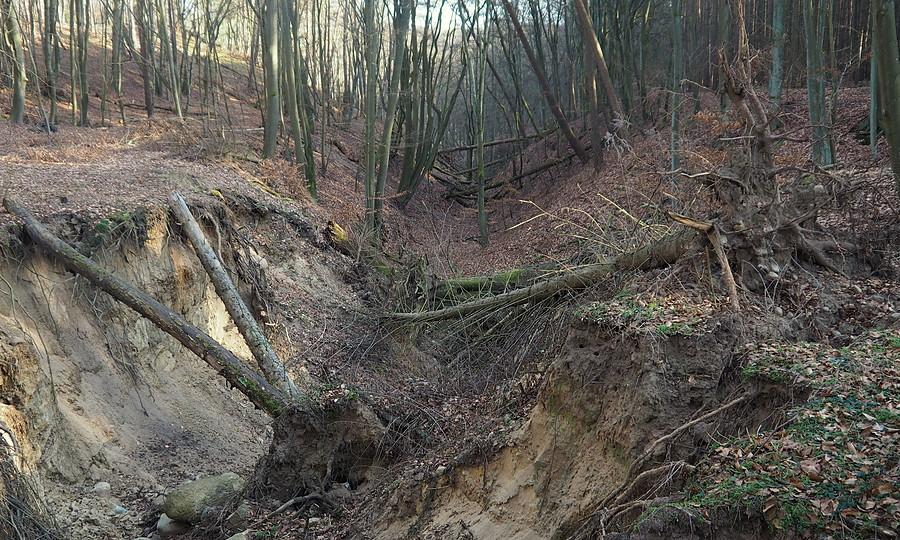 Wlot do Wąwozu Długiego