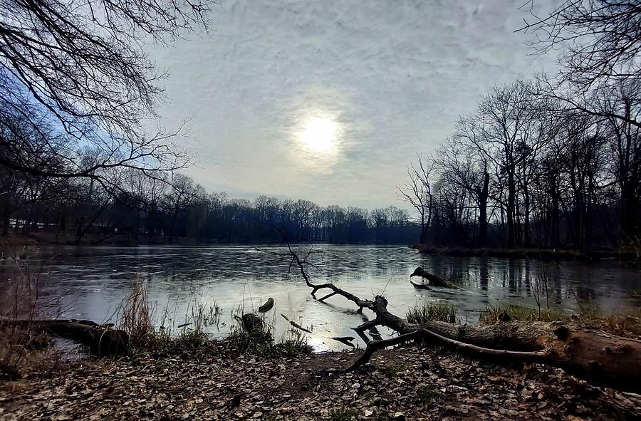 Zimowe słońce nad Dębiną