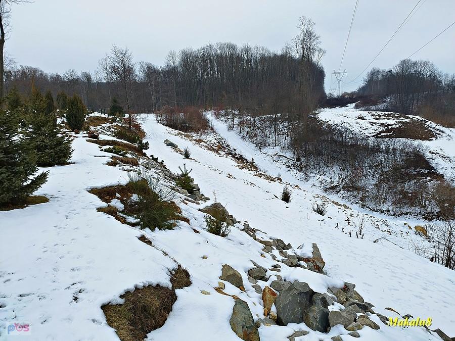 Ogród Botaniczny w Radzionkowie