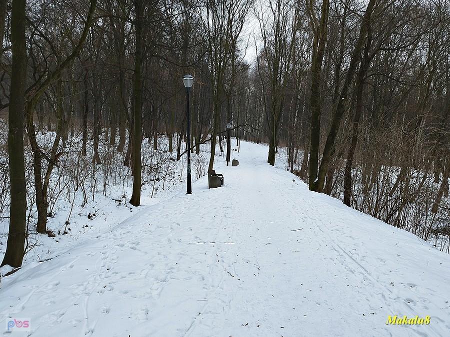 Księżą Góra