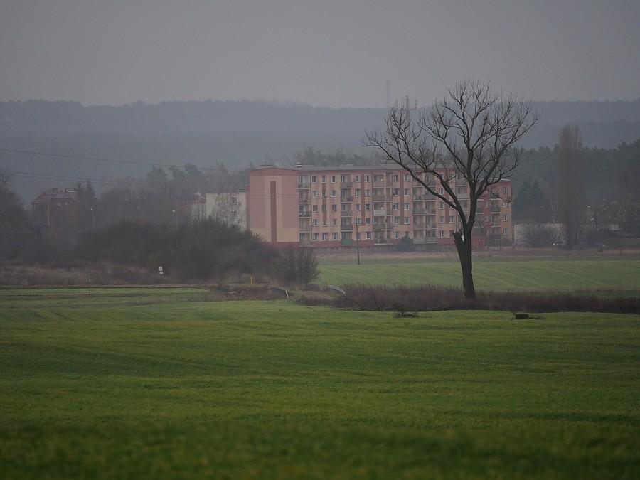 Rzepin widziany spod Lubiechni Wielkiej