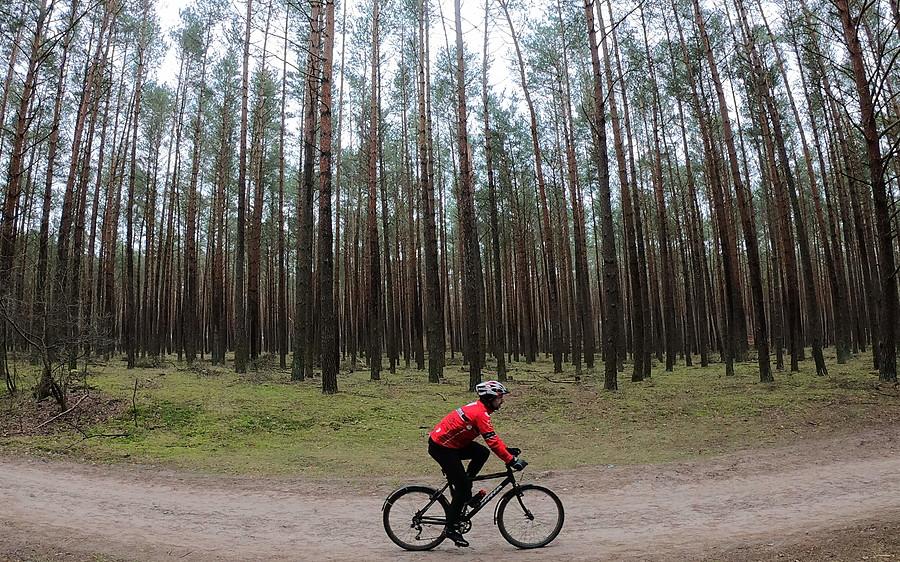 Przejazd przez taki klimatyczny las też był
