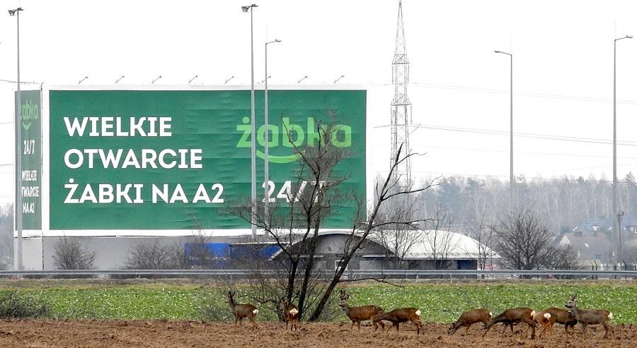 Pierwsi chętni już czekają :)