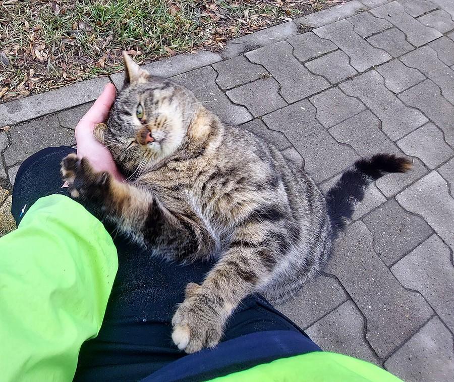 Komuś chyba dobrze :)