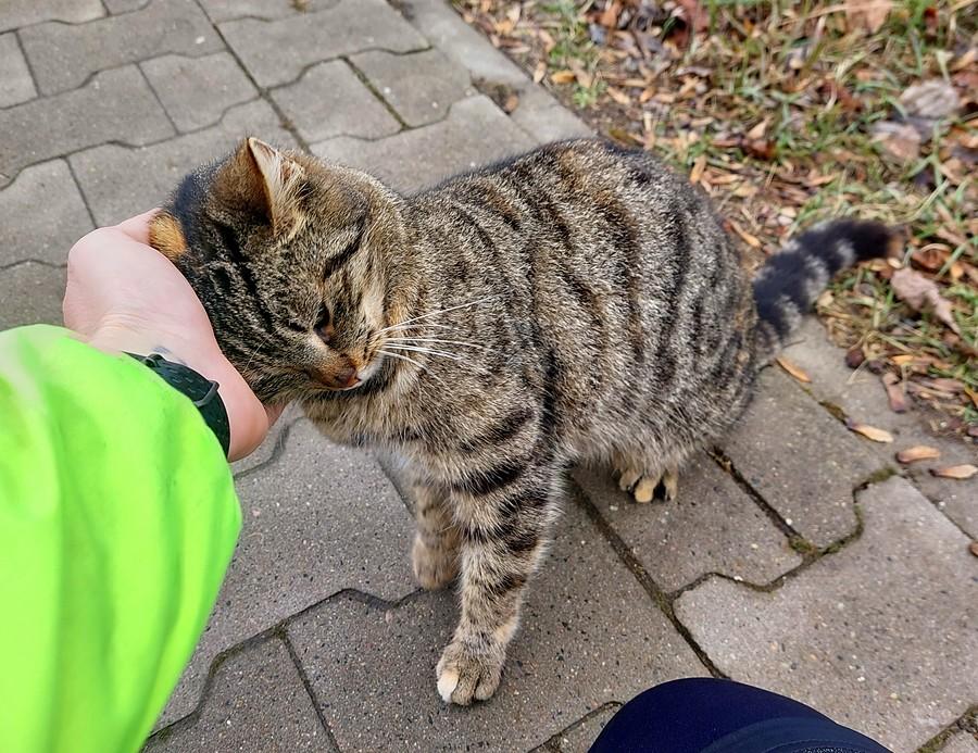 I jak tu odjeżdżać...?