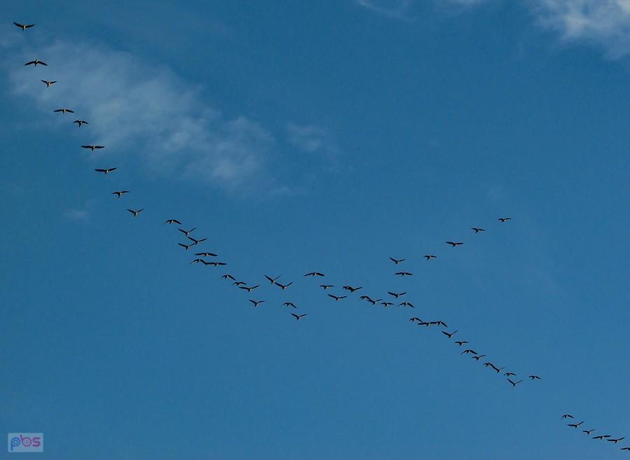Gąski na prowadzeniu zmieniają się co chwilę, jak w kolarstwie