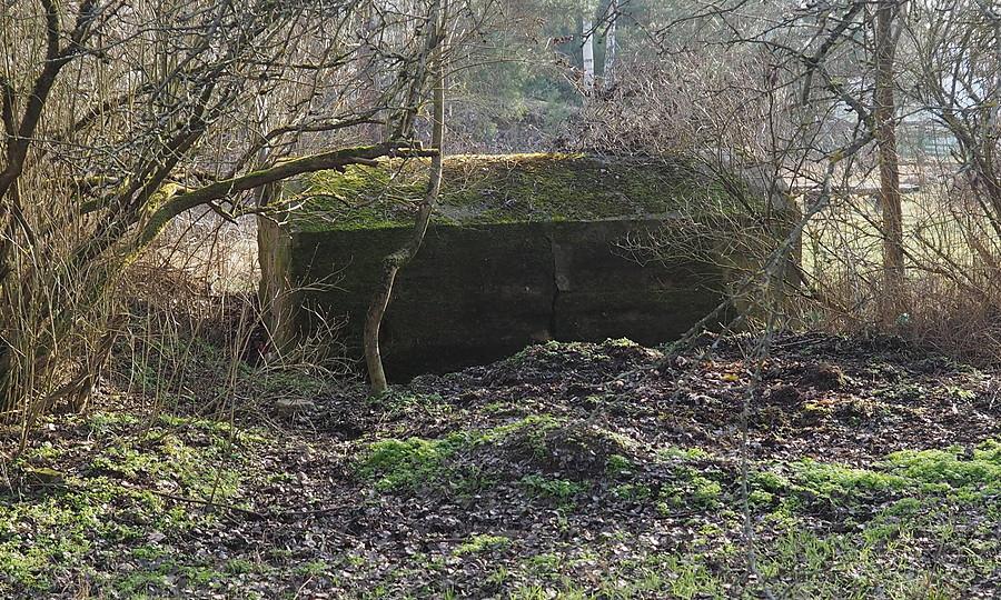 jeden z dwóch schronów biernych Trzcielskiej Pozycji Przesłaniania w Borowym Młynie