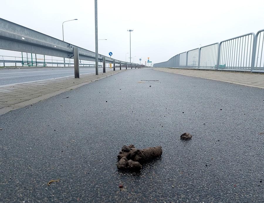 W sumie dobre podsumowanie tej bezsensownej śmieszki