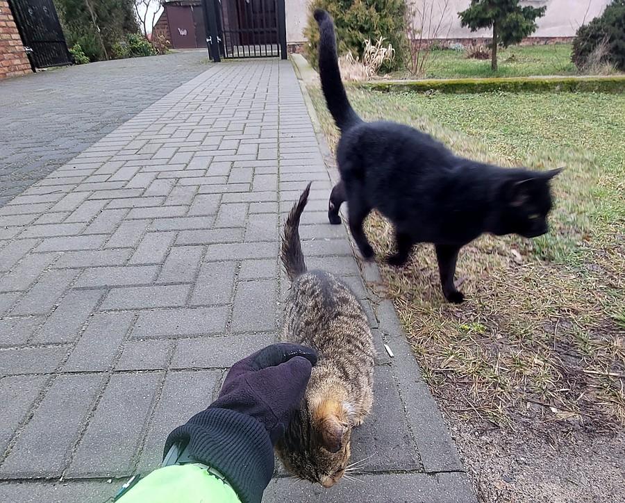 Młodziak też mi zaufał :)