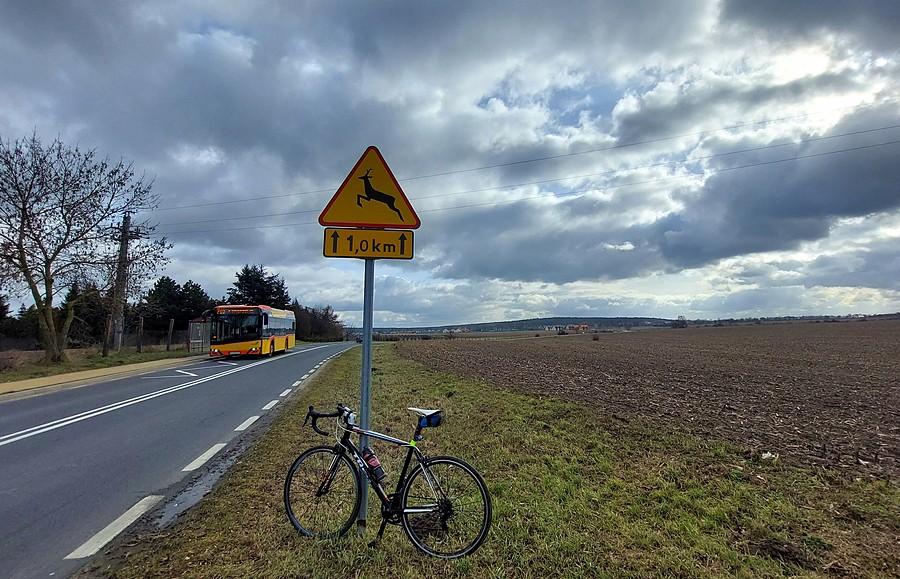 Pochmurny klasyk z autobusem gratis