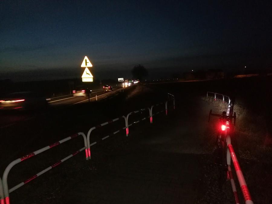 Za Brzeziem na ścieżce rowerowej.