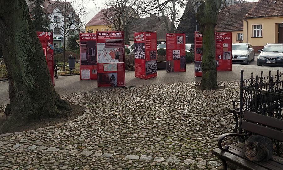 Pszczew - wystawa na stulecie Związku Polaków w Niemczech