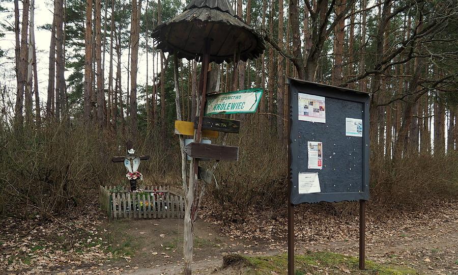Węzeł szlaków nad jeziorem Wędromierz