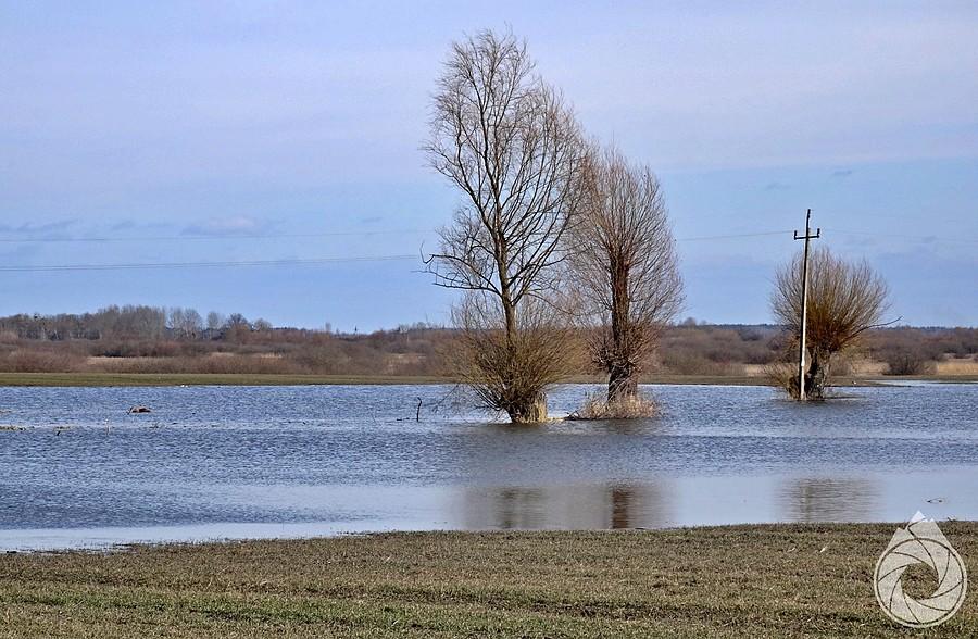 typowy obrazek rejonu chełmskiego - lekkie podtopienie