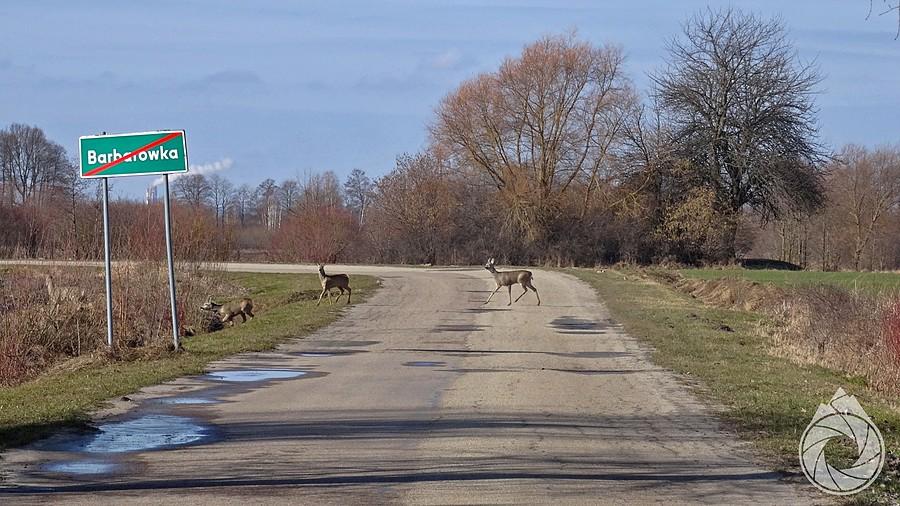 przejście w miejscach średnio dozwolonych