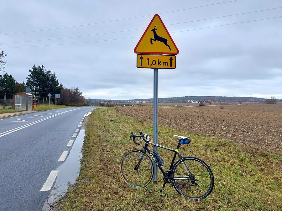 Na klasyku wciąż szaro