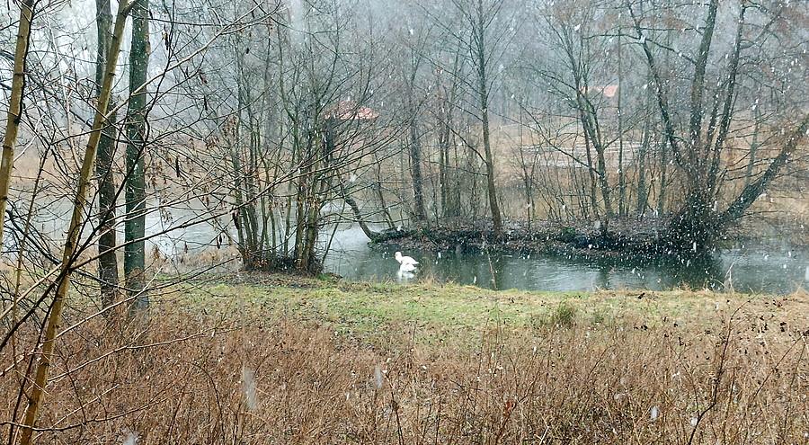 25 Lutego na Syrenich Stawach.