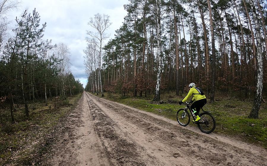 W Puszczy Noteckiej - trzeba korystać póki piaski są twarde