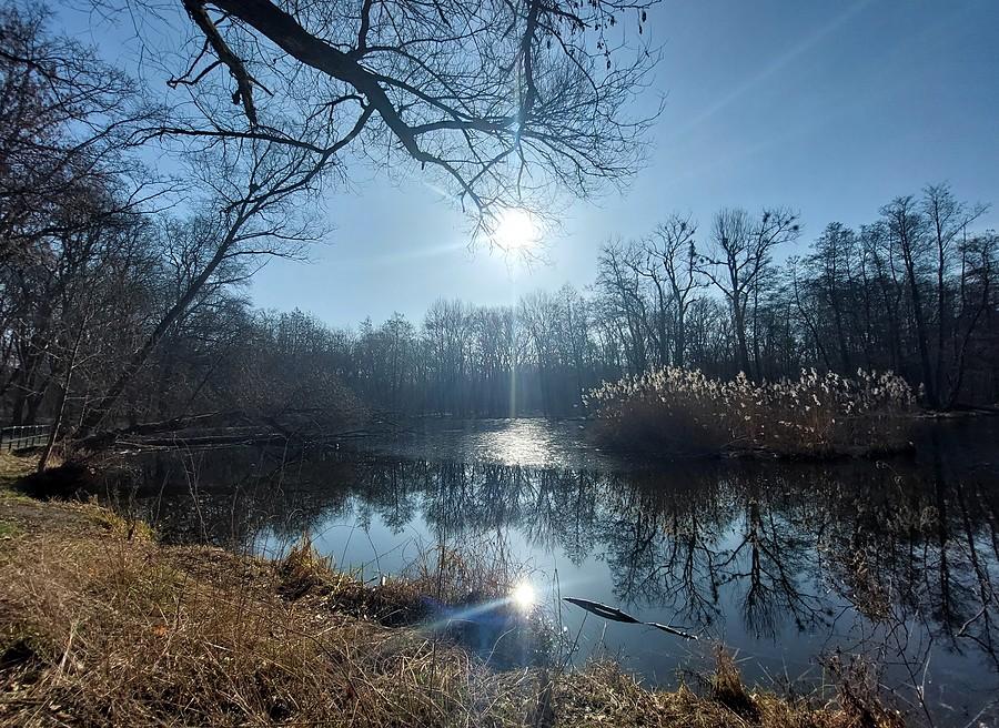 Mroźny i piękny poranek na Dębinie