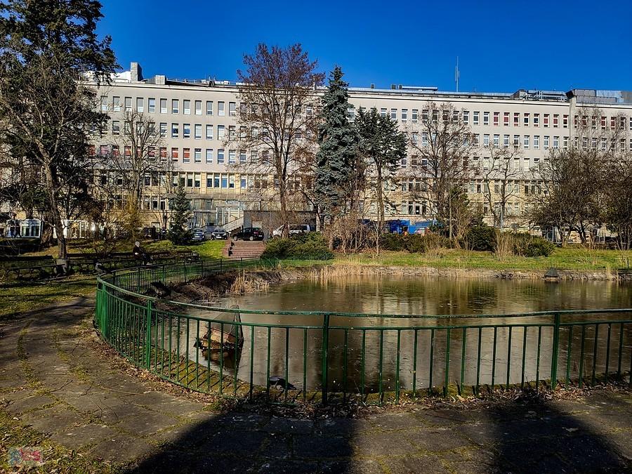 Szpitalny park
