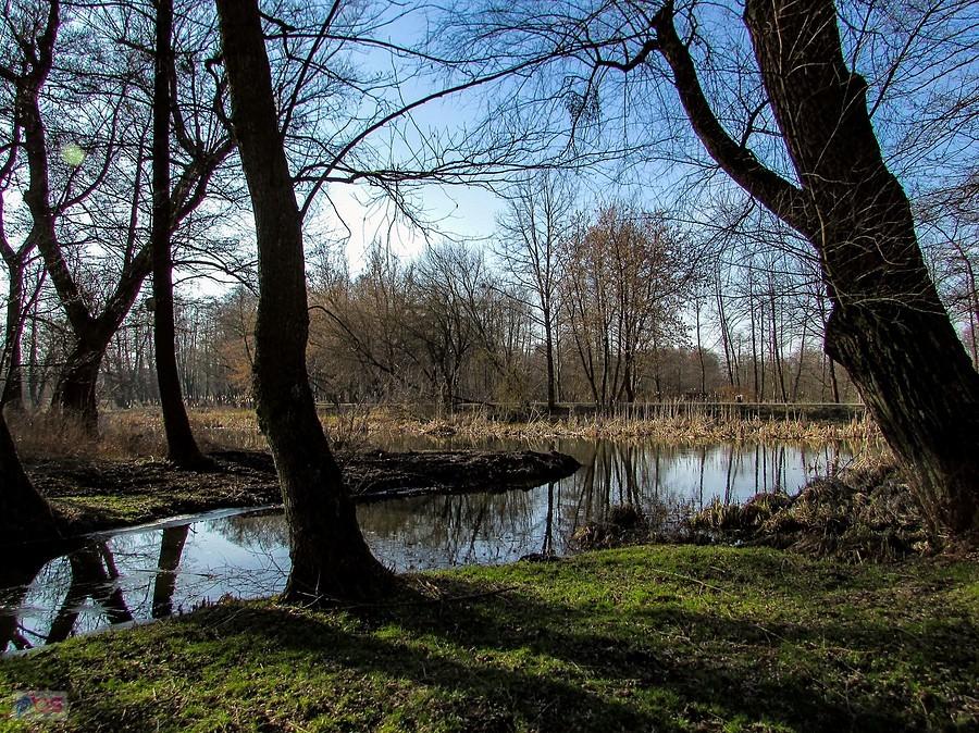 Kanałek przy Jeziorce