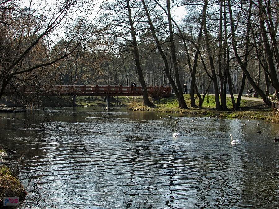 Jeziorka przy mostku