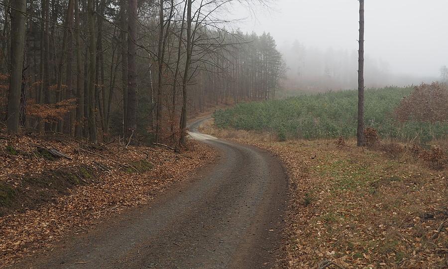 Do Uroczyska Lubniewsko