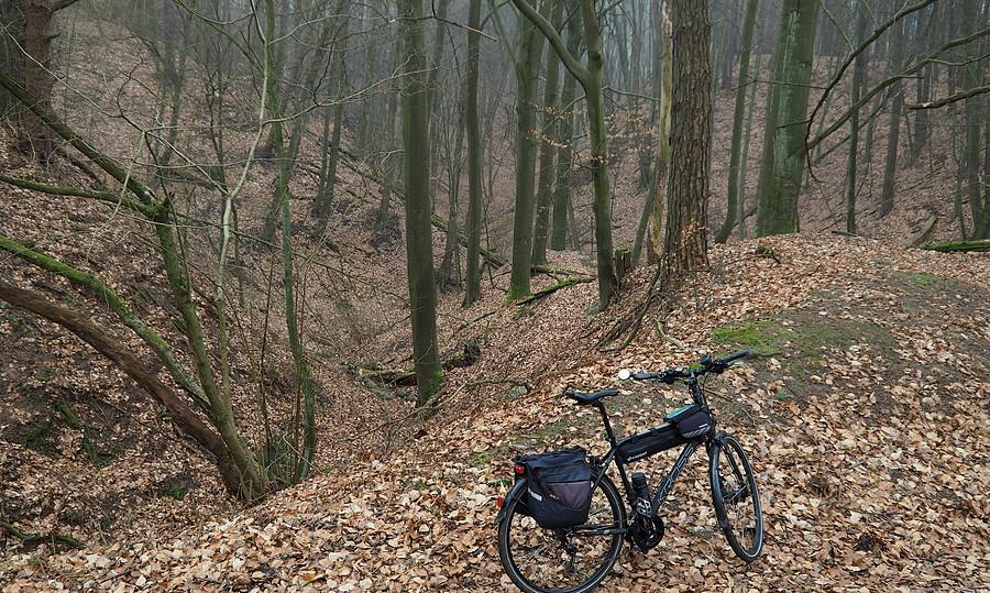 Wlot do jednego z odgałęzień Wąwozu Żubrowskiego